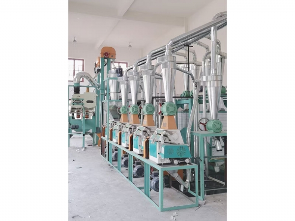 影響大型面粉加工設備價格的因素有哪些？