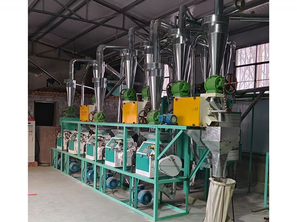 2026年面粉加工設備的行業動態